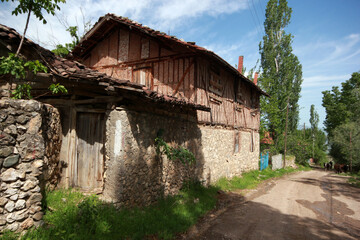 Old Black Sea houses. Amasya. Türkiye. herd of cows
