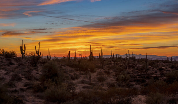 Arizona Sonoran Desert Sunset Landscape Near Phoenix © Ray Redstone