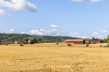 Fototapeta na wymiar Farm in a field in the Swedish countryside