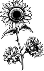 Sunflower Line Art Vol.19