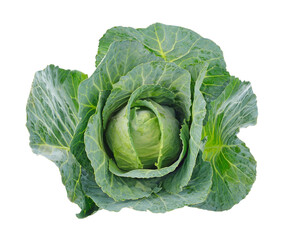 Obraz premium Green cabbage transparent png