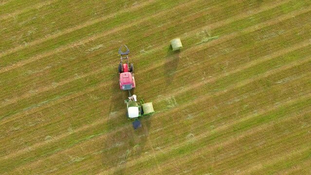 Tractor with trailer for agro stretching packs round bales of hay for silage preparation in agronomic packing stretch. Work in agronomic farm for making business and production organic eco bio animal