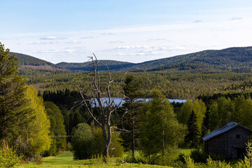 Kalvträsk, Sweden A mountainous landscape with a lake and forests