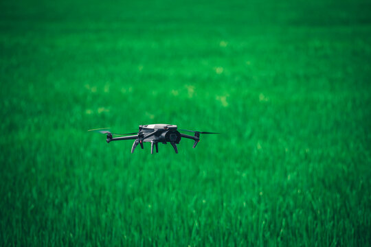 Modern drone flies in the field. Dark drone in the air against the backdrop