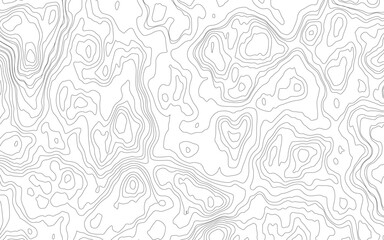 Topographic contour map. similar cartography illustration. Black and white abstract background vector, Abstract topographic contours map background