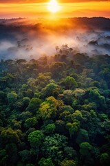 Fototapeta na wymiar Amazon forest at sunset. Generative AI