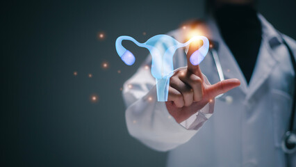 Healthy feminine concept. Doctor touching virtual uterus reproductive system, woman health, PCOS, ovary gynecologic and cervix cancer,