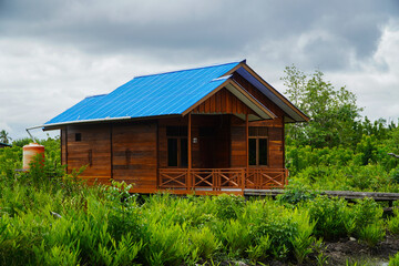 New house made of boards and tin roof in village with natural green yard