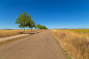 Rural road in the Spanish