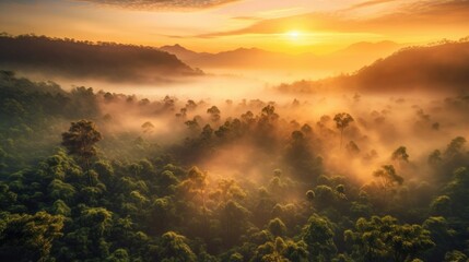 Amazon forest at sunset. Generative AI