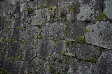 Wall of Tsurumaru Castle Ruins in Kagoshima, Japan - 日本 鹿児島 鶴丸城 御楼門 城壁