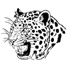 leopard head isolated on white tattoo 