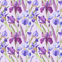Seamless pattern with iris flowers on lavender background. Watercolor botanical illustration, detailed traditional drawing. For fabric, wrapping paper, stationery products 