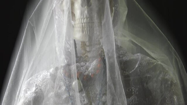Dead bride is alive at Mexico carnival