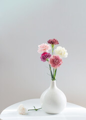 beautiful carnation flowers in ceramic vase on white table