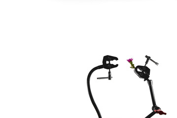 A robot arm appears to receive a romantic flower from another robot arm