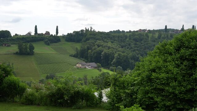 View at a hill at the wine region at the winemaker Sattlerhof in Gamlitz