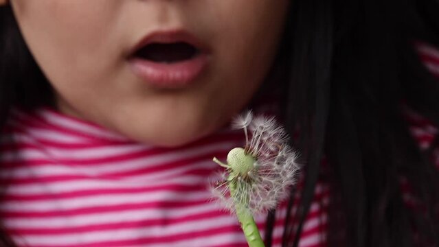 Child blowing a dandelion clock into the air