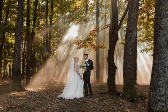 the bride and groom are dancing against the background of a fairy-tale fog in the forest. The rays of the sun break through the smoke, a fairy-tale wedding