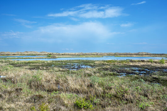 Skagen