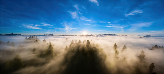 sunrise over the forest, landscape view of fog over mountain Generative AI