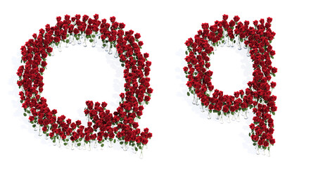 Concept or conceptual set of beautiful blooming red roses bouquets forming the font Q. 3d illustration metaphor for education, design and decoration, romance and love, nature, spring or summer.