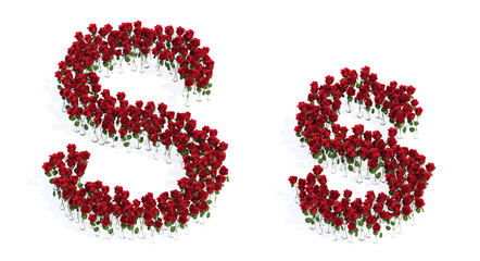 Concept or conceptual set of beautiful blooming red roses bouquets forming the font S. 3d illustration metaphor for education, design and decoration, romance and love, nature, spring or summer.
