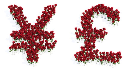 Conceptual set of beautiful blooming red roses bouquets forming the  ¥? and £ signs. 3d illustration metaphor for education, design and decoration, romance and love, nature, spring or summer.