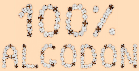 Lettering 100% algodon from spanish language means cotton, made of cotton flowers. Concept of organic raw material.