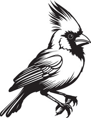 Northern Cardinal Bird Black And White, Vector Template for Cutting and Printing