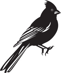 Fototapeta premium Bird Black And White, Vector Template for Cutting and Printing