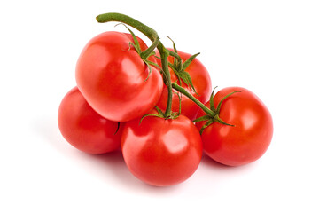 Tomato branch. Ripe fresh tomatoes, close-up, isolated on white background.