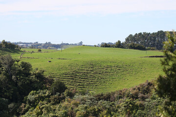 Obraz premium Farmland pastures in New Zealand, Taranaki district