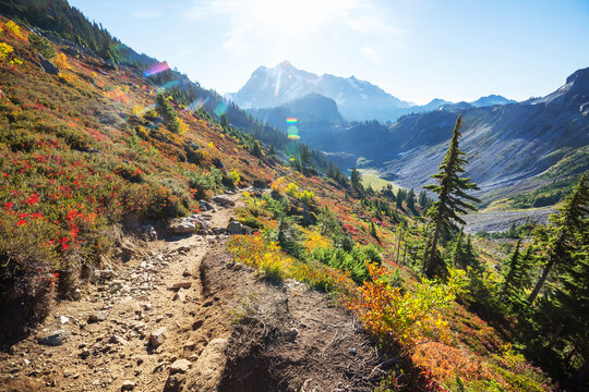 Mt Baker  Area