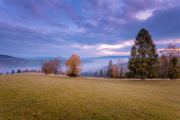 Beautiful autumn scenery of foggy valley at Carpathian mountains in the early morning before sunrise. Grass slope with yellow trees.