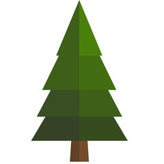 Tree nature on white background