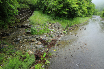 災害　土砂が流出した山道