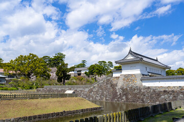 神奈川県小田原市　小田原城と桜の風景