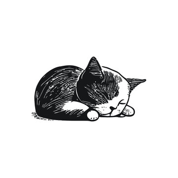 Black cute cat sleeping curled up in a ball in cartoon style. Vector illustration, isolated on white background