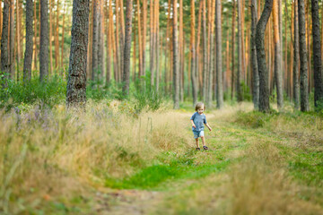 Obraz premium Adorable toddler boy having fun during a hike in the woods on beautiful sunny summer day. Active family leisure with kids.