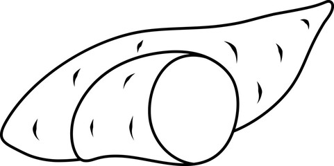 vector linear icon of sweet potatoes, greens and vegetables, spices and herbs, vitamin A, doodle and sketch