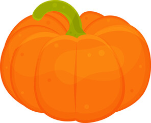 color vector illustration of pumpkin, greens and vegetables, spices and herbs, vitamin a