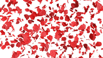 舞い落ちる薔薇。透過背景。