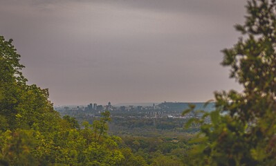 Distant cityscape captured through trees in the evening