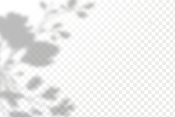 Realistic shadow tropical leaves and branches on transparent checkered background. The effect of overlaying shadows. Natural light layout.