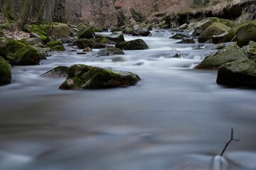 Close-up shot of mossy rocks in a foamy river in a forest