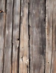 Aged Wood Backdrop. Background of wood texture with the knot.