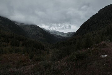 Fototapeta na wymiar Valley of Ziarska Dolina with mountains on a cloudy day in High Tatras, Slovakia