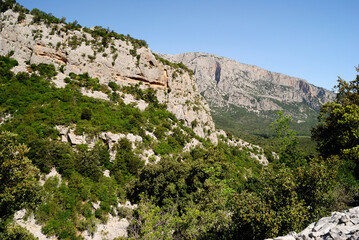 Fototapeta na wymiar Il sentiero dal cuile Sas Traes al cuile Sos Mojos, vedita del Monte Tiscali e sullo sfondo Monte Uddè