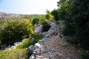 Il sentiero dal cuile Sas Traes al cuile Sos Mojos